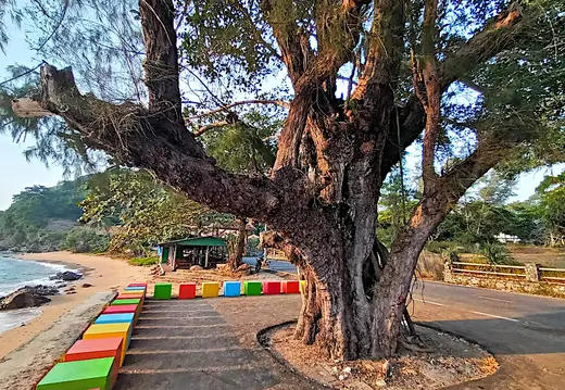 Thailand Provinz Chanthaburi Strand Baum