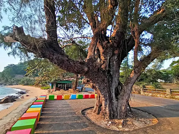 Thailand Provinz Chanthaburi Strand Baum