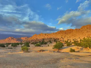 Felsige Hügel bei Tafraout mit einzelnen Bäumen unter einem bewölkten Himmel am Abend