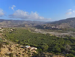Blick auf eine Bananenplantage bei Tamri in einem Tal mit umliegenden Bergen und vereinzelten Gebäuden bei klarem Himmel