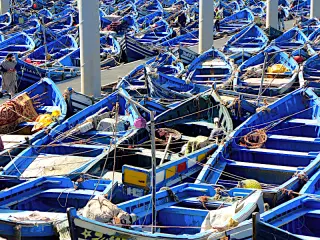 Zahlreiche blaue Fischerboote liegen dicht an dicht im Hafen von Essaouira, während ein Mann am Rand arbeitet