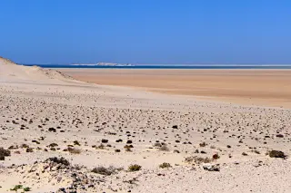Sandige Dünenlandschaft mit vereinzeltem niedrigen Buschwerk und weiter Sicht auf das Meer und eine Halbinsel am Horizont