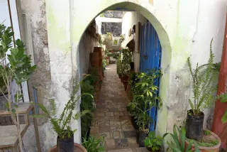 Innenhof mit Bogen, blauem Türrahmen, gemustertem Boden und mehreren Pflanzen in Töpfen in der Medina von Marrakesch