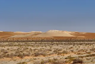 Wüstenlandschaft mit sandigen Dünen und spärlicher Vegetation unter klarem Himmel in Mauretanien