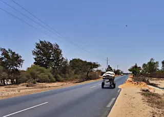 Pferdekutsche mit beladenem Wagen auf einer asphaltierten Straße in ländlicher Umgebung mit Bäumen in Keur Massar im Senegal