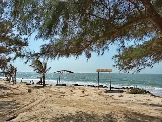 Strand mit Sand, vereinzelten Bäumen und zwei einfachen Sonnenschutzdächern am Ufer des Nationalparks Langue de Barbarie