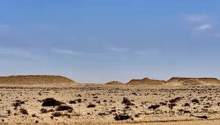 Wüstenlandschaft mit flachen Tafelbergen und vereinzeltem niedrigen Buschwerk unter blauem Himmel in der Westsahara
